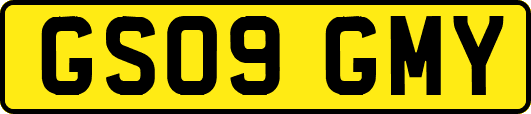 GS09GMY