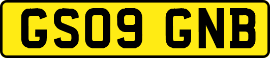 GS09GNB