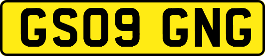GS09GNG