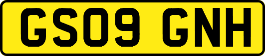GS09GNH