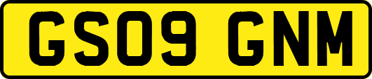 GS09GNM
