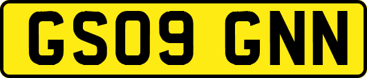 GS09GNN