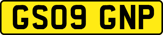 GS09GNP
