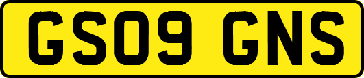 GS09GNS