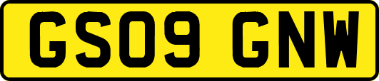 GS09GNW