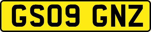 GS09GNZ