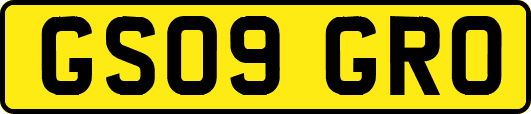 GS09GRO