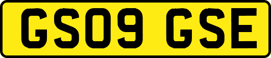 GS09GSE