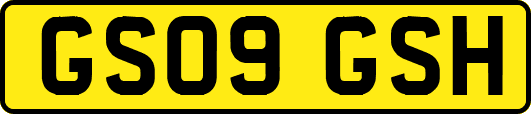 GS09GSH