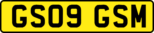 GS09GSM