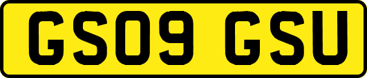 GS09GSU