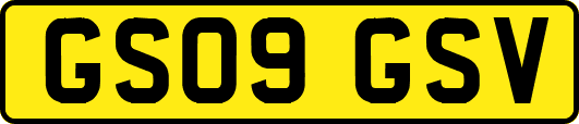 GS09GSV
