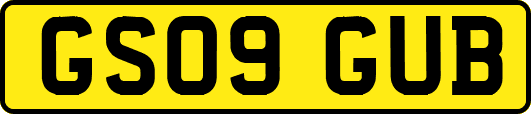 GS09GUB