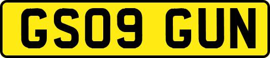 GS09GUN