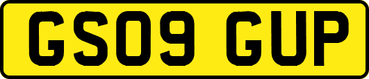 GS09GUP