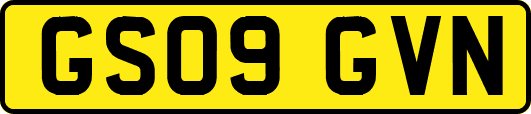 GS09GVN