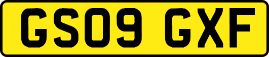 GS09GXF