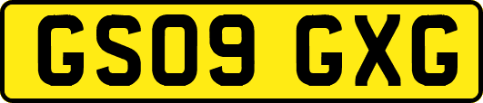 GS09GXG