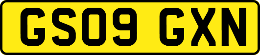 GS09GXN