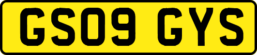 GS09GYS