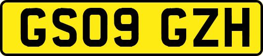 GS09GZH
