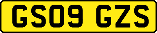 GS09GZS