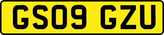 GS09GZU