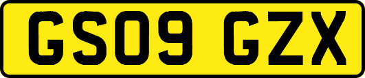 GS09GZX