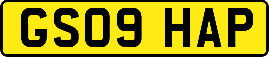 GS09HAP