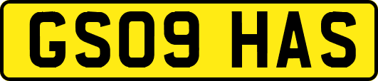 GS09HAS