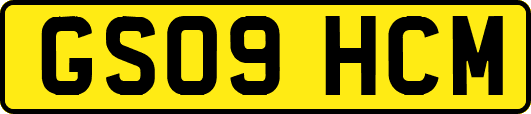 GS09HCM