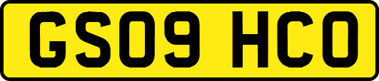 GS09HCO
