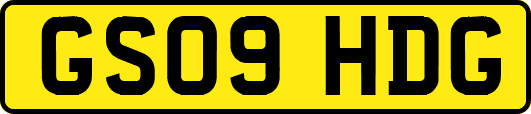 GS09HDG