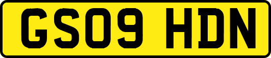 GS09HDN