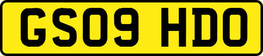 GS09HDO