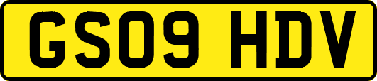 GS09HDV