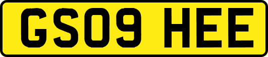 GS09HEE