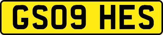 GS09HES