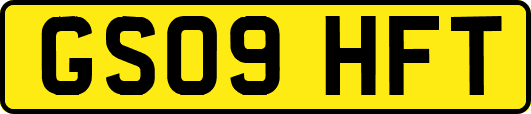GS09HFT