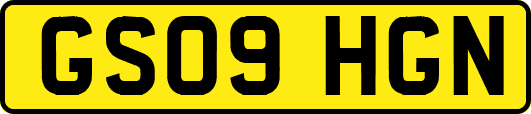 GS09HGN