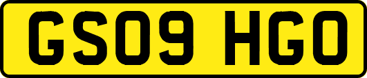 GS09HGO