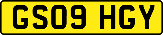 GS09HGY