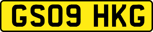 GS09HKG
