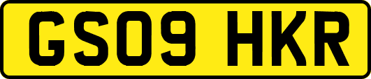 GS09HKR