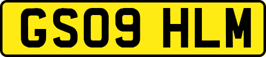 GS09HLM