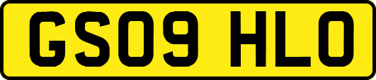 GS09HLO