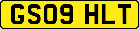 GS09HLT