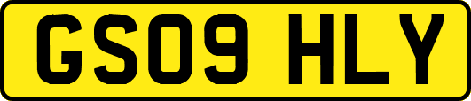 GS09HLY
