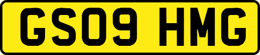 GS09HMG
