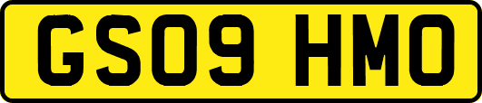 GS09HMO